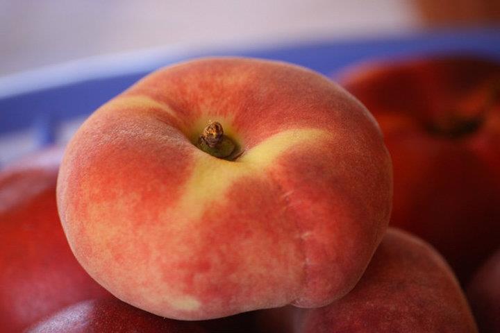 Pesca Tabacchiera di Maniace