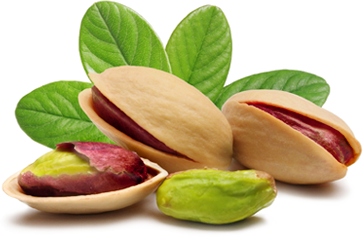 Pistacchio di Bronte